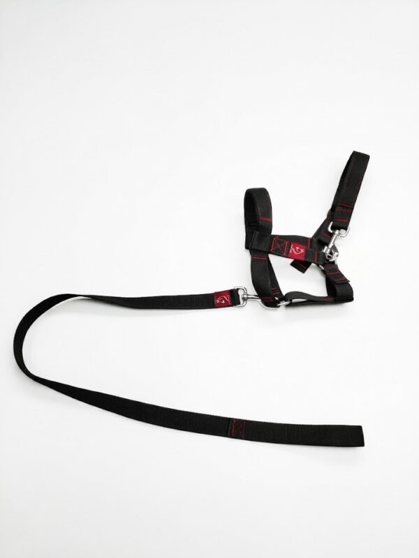 Mini Donkey Halter + Leash Set