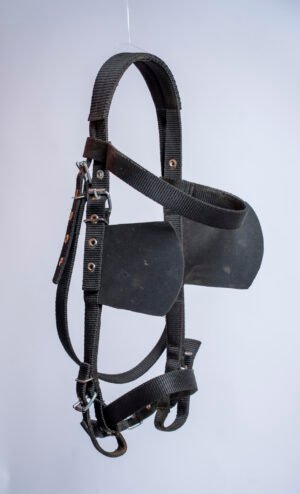 Black webbed harness