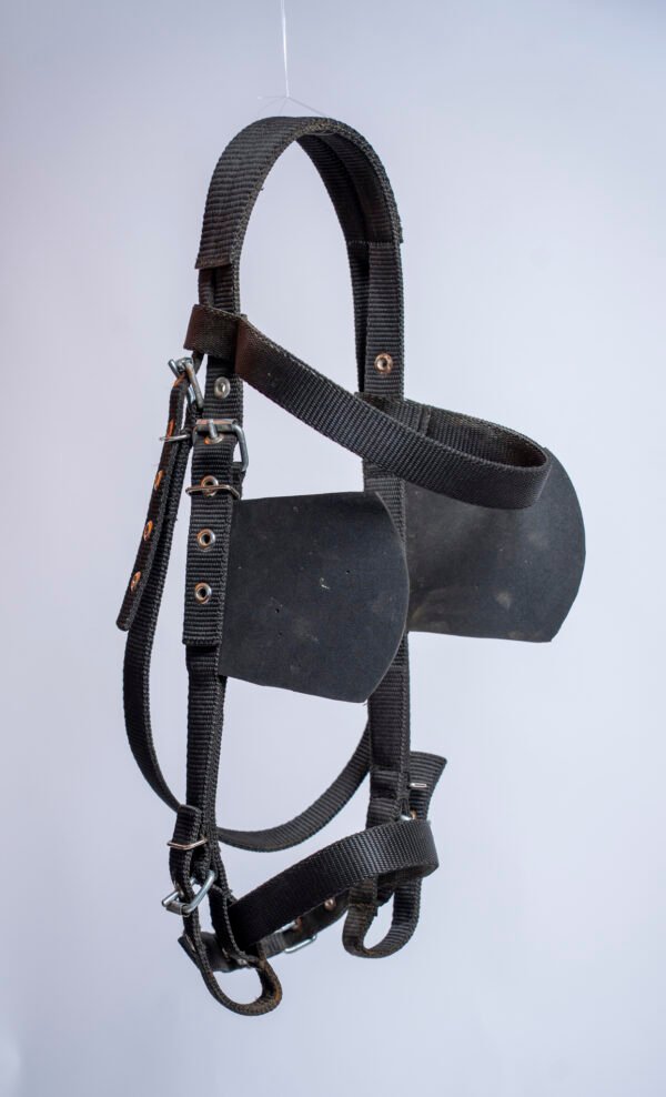 Black webbed harness