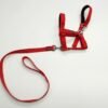 Mini Donkey Halter + Leash Set