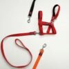 Mini Donkey Halter + Leash Set