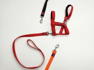 Mini Donkey Halter + Leash Set