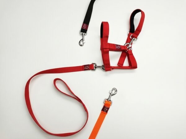 Mini Donkey Halter + Leash Set