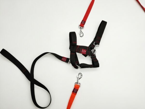 Mini Donkey Halter + Leash Set