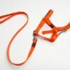 Mini Donkey Halter + Leash Set