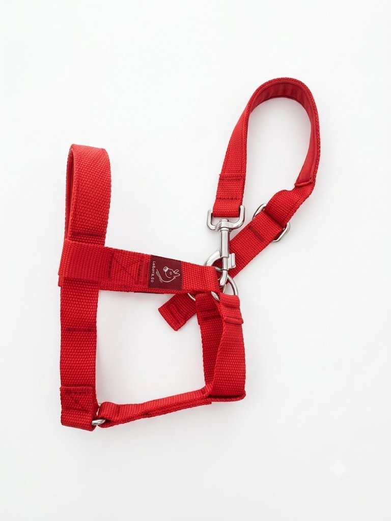 Soft Nylon Donkey Halters – Premium Comfort Headstalls